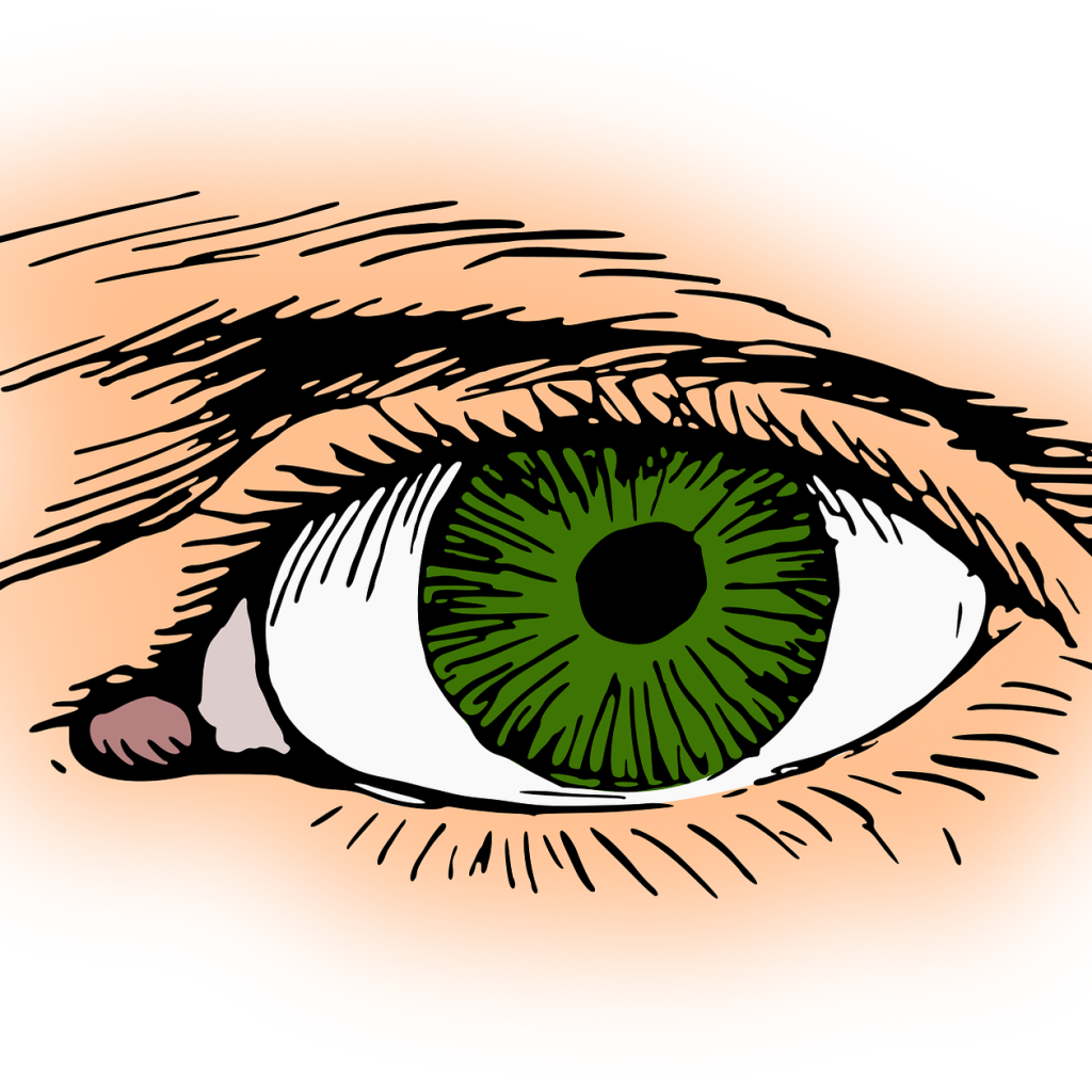openclipart-vectors-eye-2027396_1920 openclipart-vectors-eye-2027396_1920
